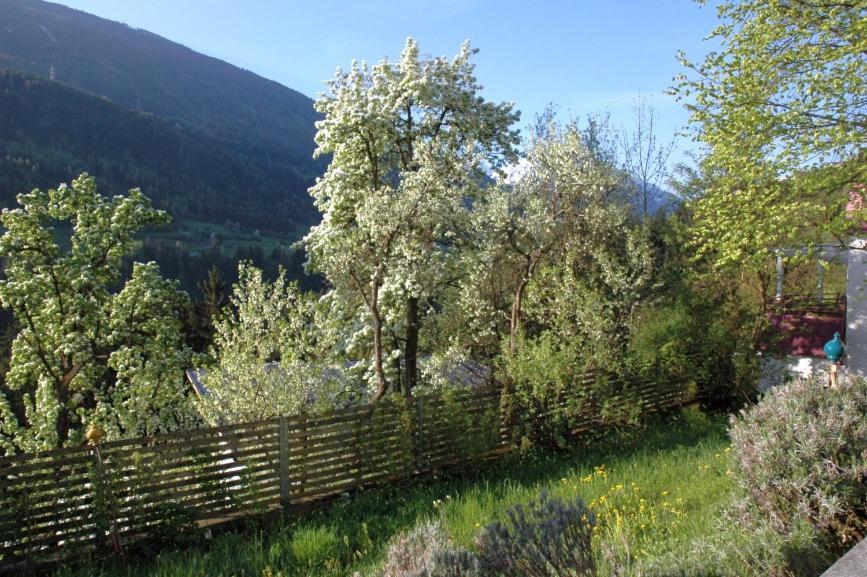 Studio Ualysses Arzl im Pitztal Dış mekan fotoğraf